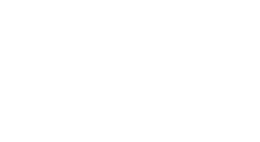 Belcash